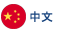 Chinese Language